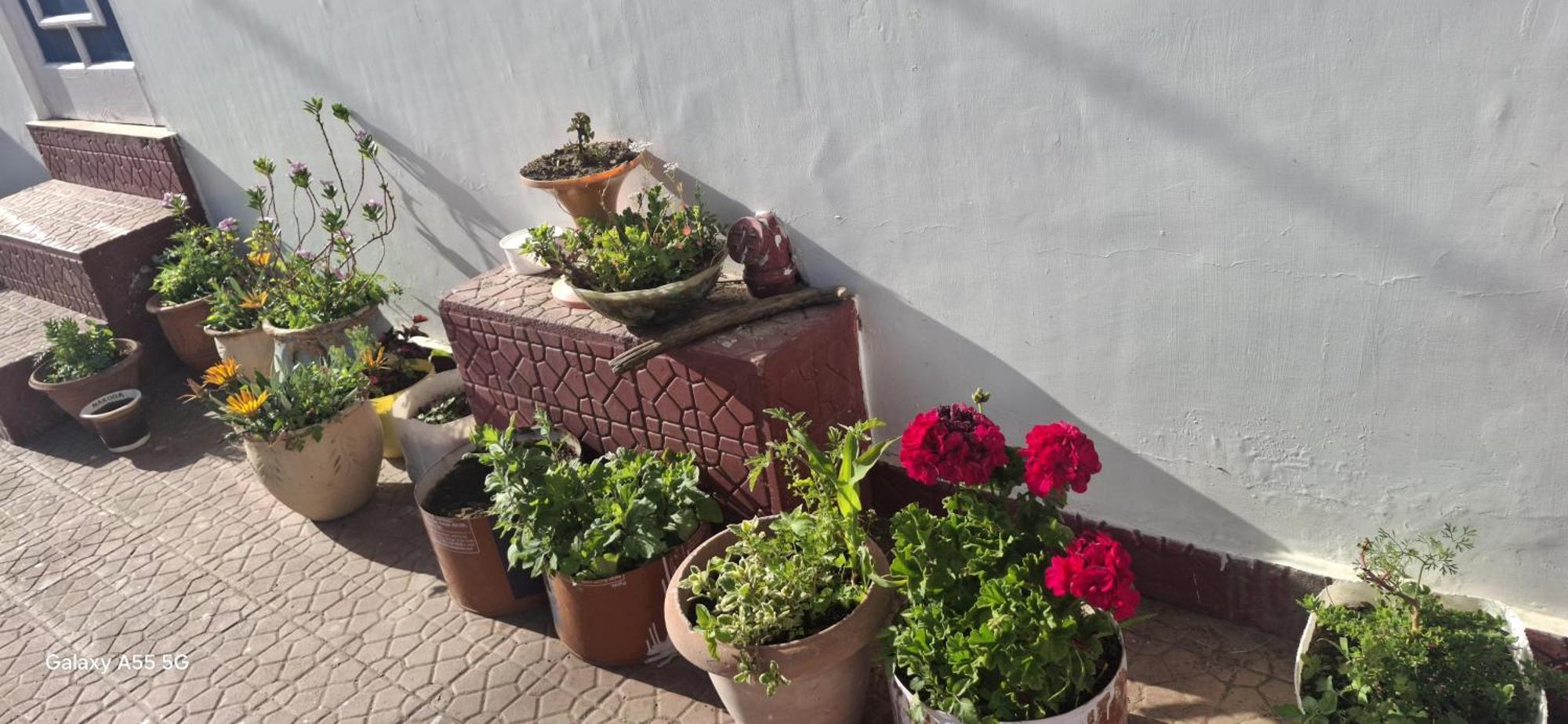 שימלה Keshav Niwas Homestay מראה חיצוני תמונה